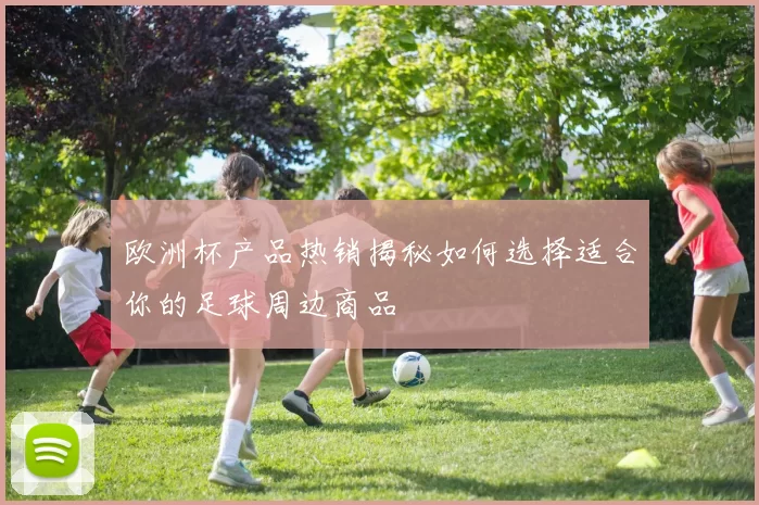 欧洲杯产品热销揭秘如何选择适合你的足球周边商品